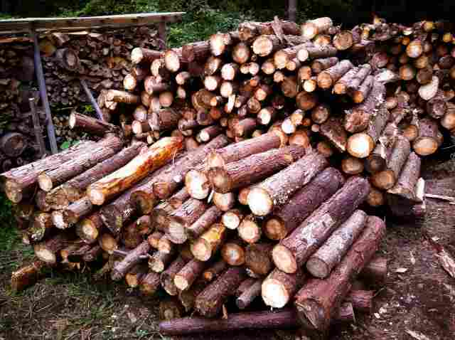 firewood (29)